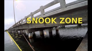 How To Catch Snook Around Bridges Where and When to Fish [upl. by Woehick]