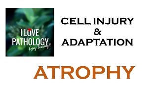 CELL INJURY amp ADAPTATIONS PATHOLOGY ATROPHY [upl. by Bathsheeb]