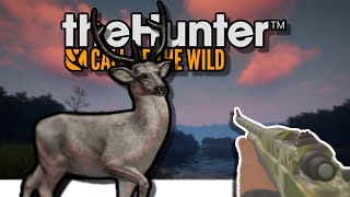 DOUBLE RARE In Sundarpatan  TheHunter Call of the Wild [upl. by Leachim]