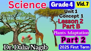 ساينس رابعه ابتدائي ترم اول 2025 Science Grade 4 Concept 1 Lesson 2 Plant Adaptations Part B P2 [upl. by Ahsiel]