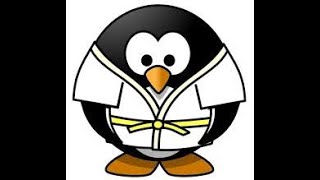 Ponga le pingouin Judoka [upl. by Einna]