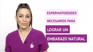 ¿Se necesitan muchos espermatozoides para conseguir un embarazo natural [upl. by Hgielac]