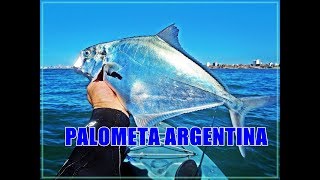 PALOMETAS ARGENTINAS UNA PESCA EXPLOSIVA [upl. by Nessnaj]