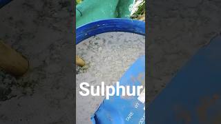 NPK consortia se bhi powerfull liquid fertilizer organic jaivikkheti naturalfarming [upl. by Lelith917]