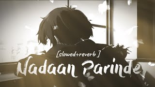 Nadaan Parinde  slowed  Rockstar  Lyrics 🖤 [upl. by Anividul233]