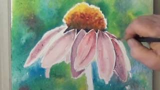 Watercolor Coneflower with Background for Beginners Using Color and Value for a Painting That POPS [upl. by Giarla119]