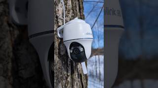 With Reolink 4G Cameras Stay Connected Everywhere reolink securitycamera wildlife 4g offgrid [upl. by Eugaet]