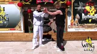 Wing Chun energy drill basic training  Lesson 37 Combo drill 8 [upl. by Eelnyl]