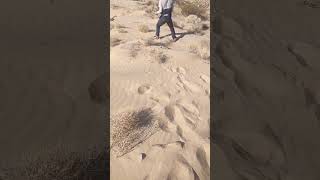 Loaming In The Desert gold sand prospecting hiking desert dune drylakeminingco [upl. by Pansir]