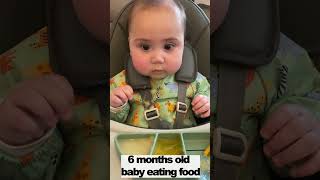 Cute Baby Leonardo Eating Food 6 months old ❤️ babyeating adorablebaby shorts [upl. by Tatianna211]