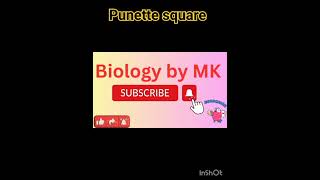 Punette square Mendelian genetics genetics inheritance biology [upl. by Jacklyn]