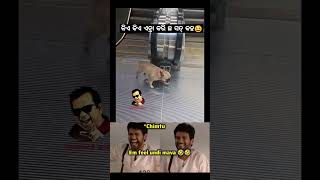 Kiye kiye enta kari cha sat kaha 😍🌿\ sambalpuri status video  sambalpuri song shortvideo dance [upl. by Aicerg45]