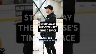 STRIP AWAY THE OFFENSES TIME amp SPACE hockeydevelopment hockeytraining [upl. by Lucia]