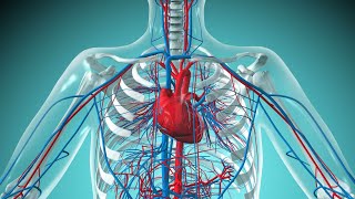 CVS primary amp secondary amp benignamp Malignant hypertension  lec4 [upl. by Aldon]