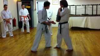 Body Dynamics for Close Range Striking in Traditional Karate [upl. by Paige375]