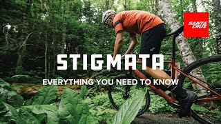 Santa Cruz Stigmata  the rundown on the features and tech [upl. by Lleder812]