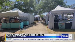 Pensacola crawfish festival [upl. by Anaerda]