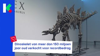 Dinoskelet verkocht voor 40 miljoen euro [upl. by Ignatz]