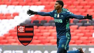 MELHORES DEFESAS DE HUGO SOUZA PELO FLAMENGO [upl. by Marijn]