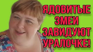 ЗАБЕГ ХОМЯКОВ ЗМЕИ ЗАВИДУЮТ ОЛЬГА УРАЛОЧКА LIVE ОБЗОР ВЛОГА [upl. by Clevie499]