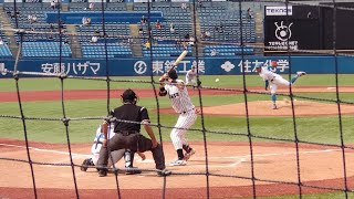 東京大学・松本慎之介 全投球 2024 05 25 國學院久我山 [upl. by Seyer627]