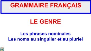 GRAMMAIRE FRANÇAISE  Le genre  Les phrases nominales  Les noms au singulier et au pluriel  A1 [upl. by Aynod103]