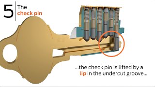 5 Things to Know About the Schlage Everest 29 Keyway [upl. by Ogu]