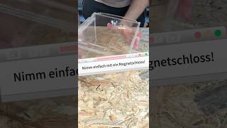 Sicherheit der Haltung von Skorpionen terraristik terrarium diy schloss skorpion skorpione [upl. by Nettirb]