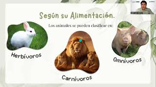 Clase de Vertebrados e Invertebrados [upl. by Ahsened]