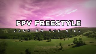 FPV Freestyle  PackOnTheHill [upl. by Emelen]