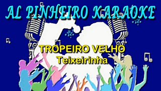 Tropeiro velho  Teixeirinha karaoke [upl. by Wyatt484]