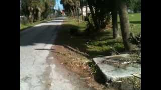 inspector Rene lopez city Tampa solid waste code enforcement ripoff [upl. by Chang]