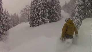 The Best Powder Nozawa Onsen [upl. by Odin982]