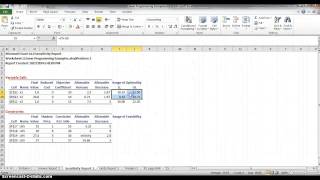 Interpreting Solver Reports for Linear Programming [upl. by Cirenoj]