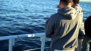 Private Charter Fishing Trip on the Betty G In Redondo Beach Ca 100911 [upl. by Ehr509]