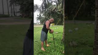 Husking coconut [upl. by Joses738]