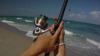 Surf Fishing  How to Cast a Surf Rod [upl. by Valentia881]