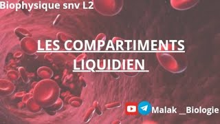 Biophysique L2  Les compartiments liquidiens [upl. by Chui219]