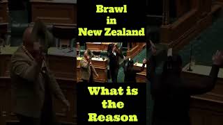 New Zealand Parliament l Māori dance shortsfeed shorts [upl. by Rania]