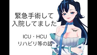 【生還】死にかけましたガチで【Vtuber】 [upl. by Lesig]