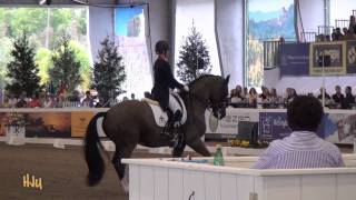 HorseJunkiesUnitedcom  Charlotte Dujardin and Valegro Grand Prix WDM2012 [upl. by Tommy]