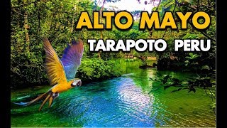 Alto Mayo Tarapoto Peru Full HD [upl. by Drhacir]