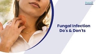 Top 5 Best Antifungal Infection Creams 2024 REVIEWED [upl. by Gayner744]