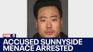 Accused Sunnyside menace arrested [upl. by Mack519]