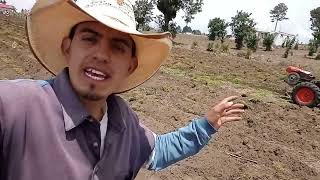 Cultivando maíz 🌽  Rayando con motocultor para la siembra [upl. by Eerahc633]