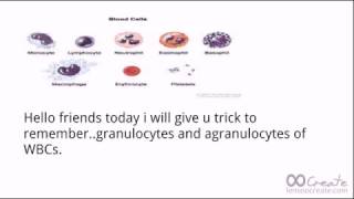 Trick to remember WBCs granulocytes and agranulocytes For neet [upl. by Egroej37]