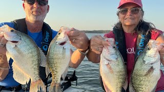 Crappie for Cartwrights Limiting out on Slabs Live at Sardis Lake [upl. by Nochur261]