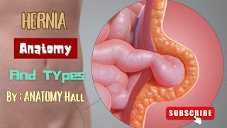 Understanding the Hernia Anatomy A beginners Guide [upl. by Francisca567]