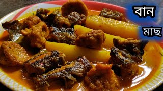 আলু বড়ি দিয়ে বানবাইনমাছের ঝোলBaanBaam Macher RecipeBain Fish RecipePujar Diary [upl. by Delilah170]