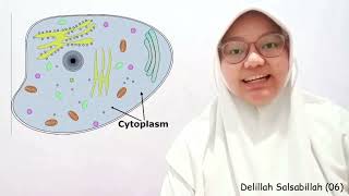 Video Pembelajaran Katabolisme dan Anabolisme  Biologi Kelas 12 [upl. by Arikaahs]